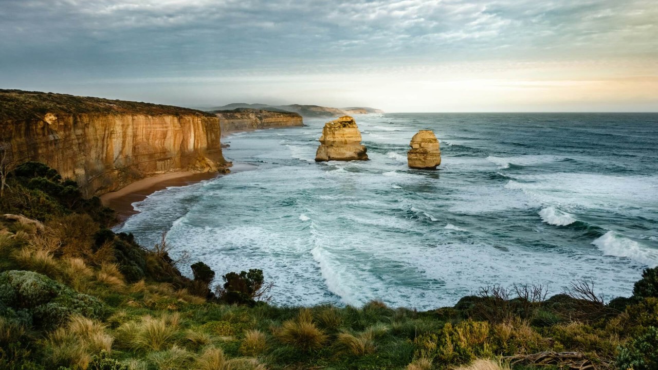 dog friendly places NSW